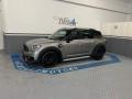 usato MINI Countryman