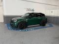 usato MINI Countryman