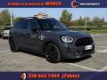 usato MINI Countryman